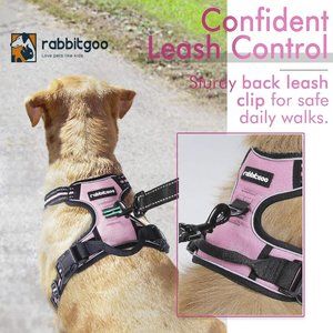 Rabbitgoo Dog Harness, No-Pull Pet Harness with 2 Leash Clips